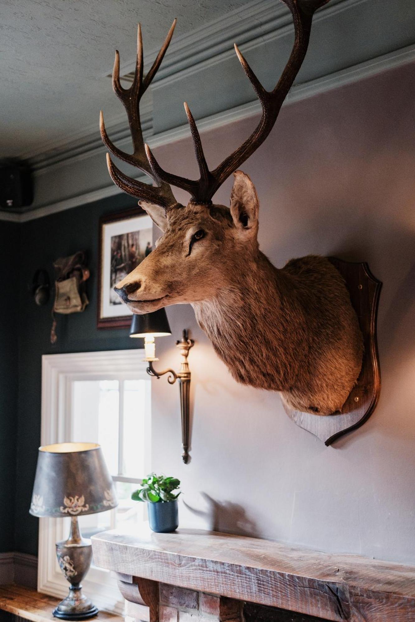 Inn The White Buck Burley