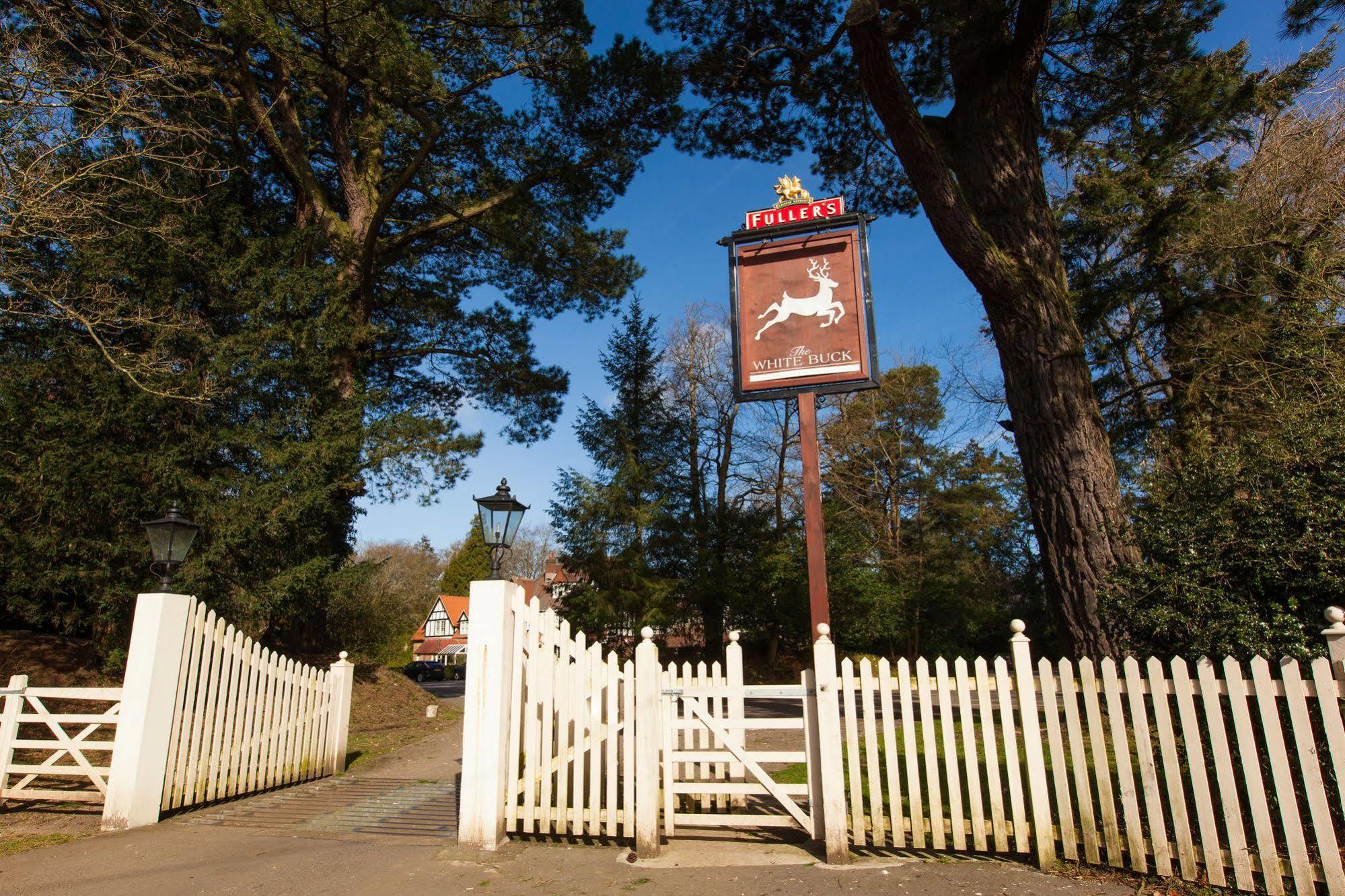 Inn The White Buck Burley
