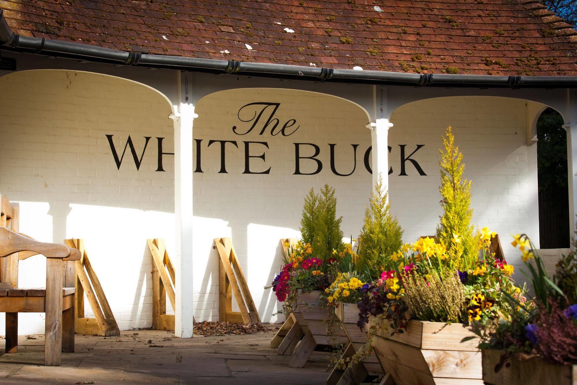 The White Buck 4*