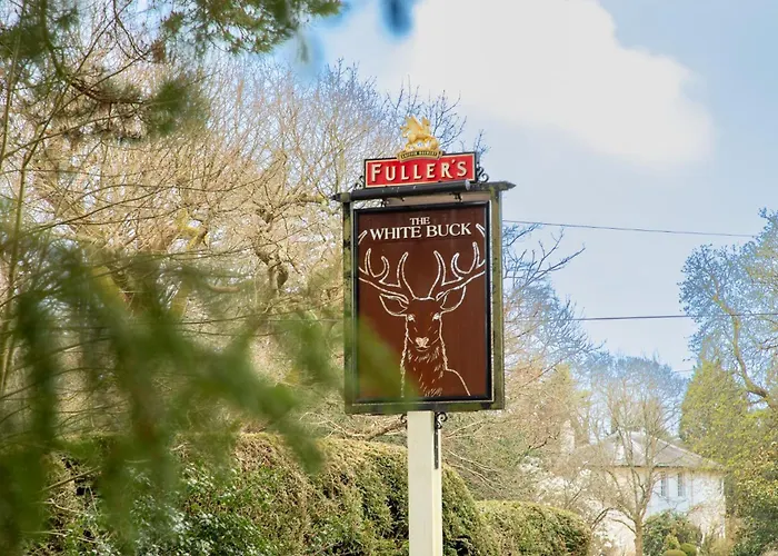 The White Buck